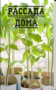 Download Рассада дома APK for PC