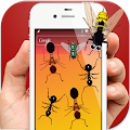 Ants in Phone Insect Crush Apk