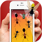 Ants in Phone Screen Killer Apk