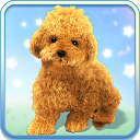 Talking Teddy Dog mobile app icon