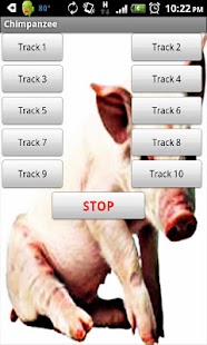 Lastest Pig Sound Effects APK