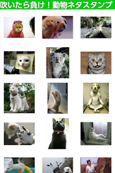 ラインスタンプで送ろう 吹いたら負け 爆笑 癒し動物スタンプ Androidアプリ Applion