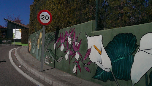 Graffiti Flores El Arboreto