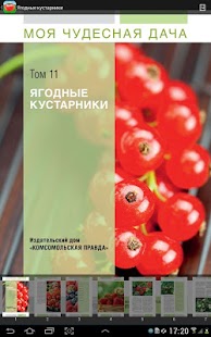 Free Download Моя чудесная дача APK for Android