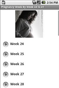 Pregnancy guide Weeks 24 to 41