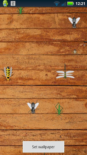 Bugs Live Wallpaper