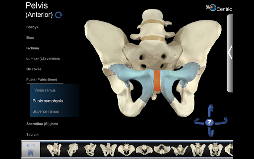 OpenLab.bones