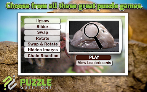 Free Weird Animals Puzzle Game Screenshots 4