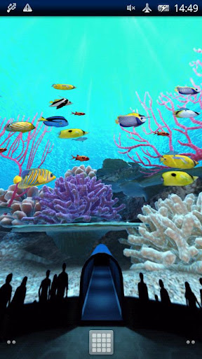 Coral Reefs World Trial