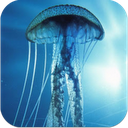 3D Jellyfish HD Live Wallpaper mobile app icon