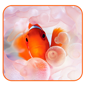 Fantastic Aquarium LW.apk 1.0