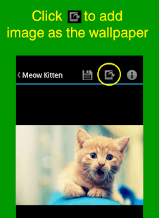 How to get Kitten Wallpapers lastet apk for bluestacks