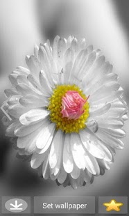 How to mod Hinh Nen Dep lastet apk for laptop