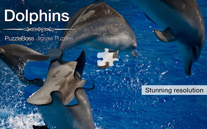 Dolphin Jigsaw Puzzles Demo poster 5