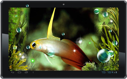 免費下載個人化APP|Aquarium Top live wallpaper app開箱文|APP開箱王