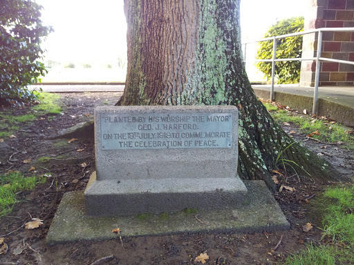 Feilding, WW I Peace Celebration Plaque/Tree