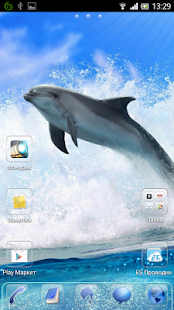 免費下載個人化APP|Dolphin and Glass GO Theme app開箱文|APP開箱王
