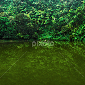 Telaga Warna by Ad Har - Nature Up Close Other Natural Objects