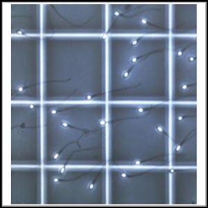 Biology Cell Tally Counter 1.0
