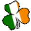 Irish Slang 1.0