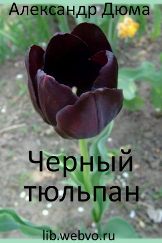 Черный тюльпан Александр Дюма