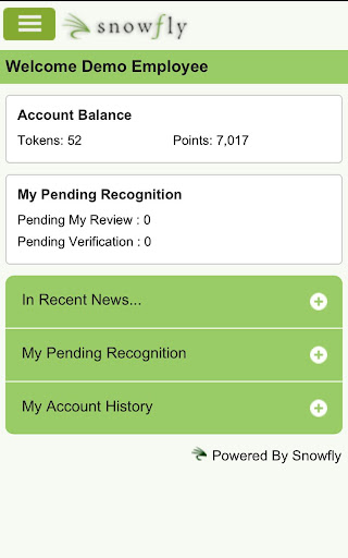 Snowfly Incentives