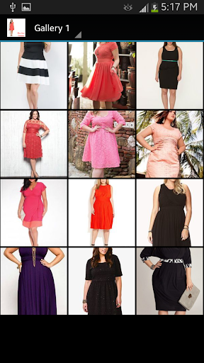 Plus Size Dresses