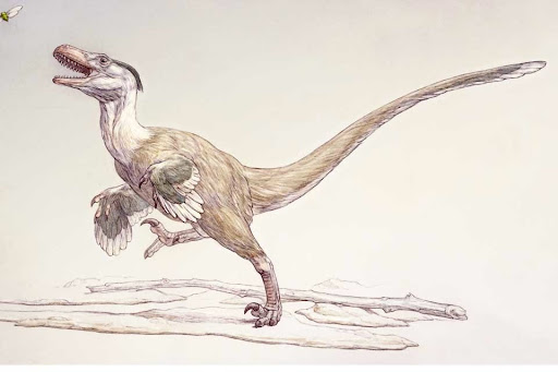Deinonychus Illustration