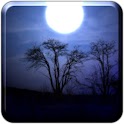 Night Shadow LITE logo