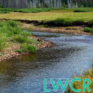 River Side Creek LWP.apk 1.0.7