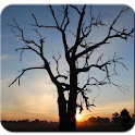 Autumn World Photography logo
