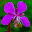 Alaska B&B Download on Windows