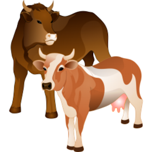 Cows And Bulls.apk 1.0