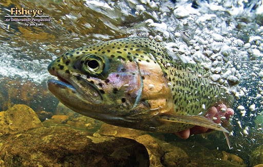 【免費運動App】Northwest Fly Fishing-APP點子