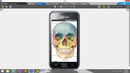 Basic Anatomy of a Skull