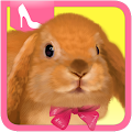 Cute Rabbit Dress Up Apk