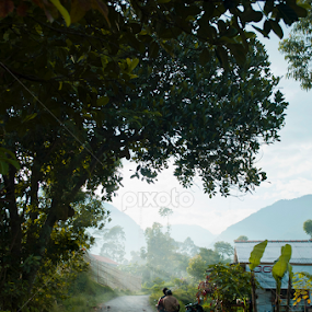 Road at a village by Taufique Rahman - Landscapes Sunsets & Sunrises