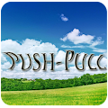 Push Pull Apk