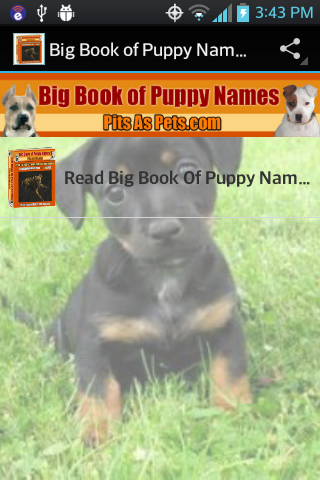 Big Book of Puppy Names