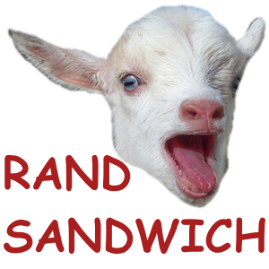 Dave's Random Sandwich