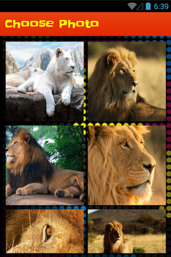 【免費解謎App】Lion Slide Puzzle Game-APP點子