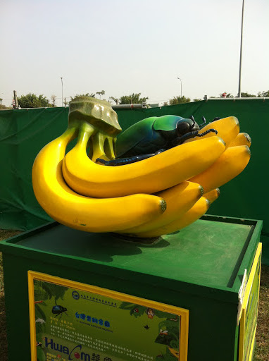金龜子與香蕉