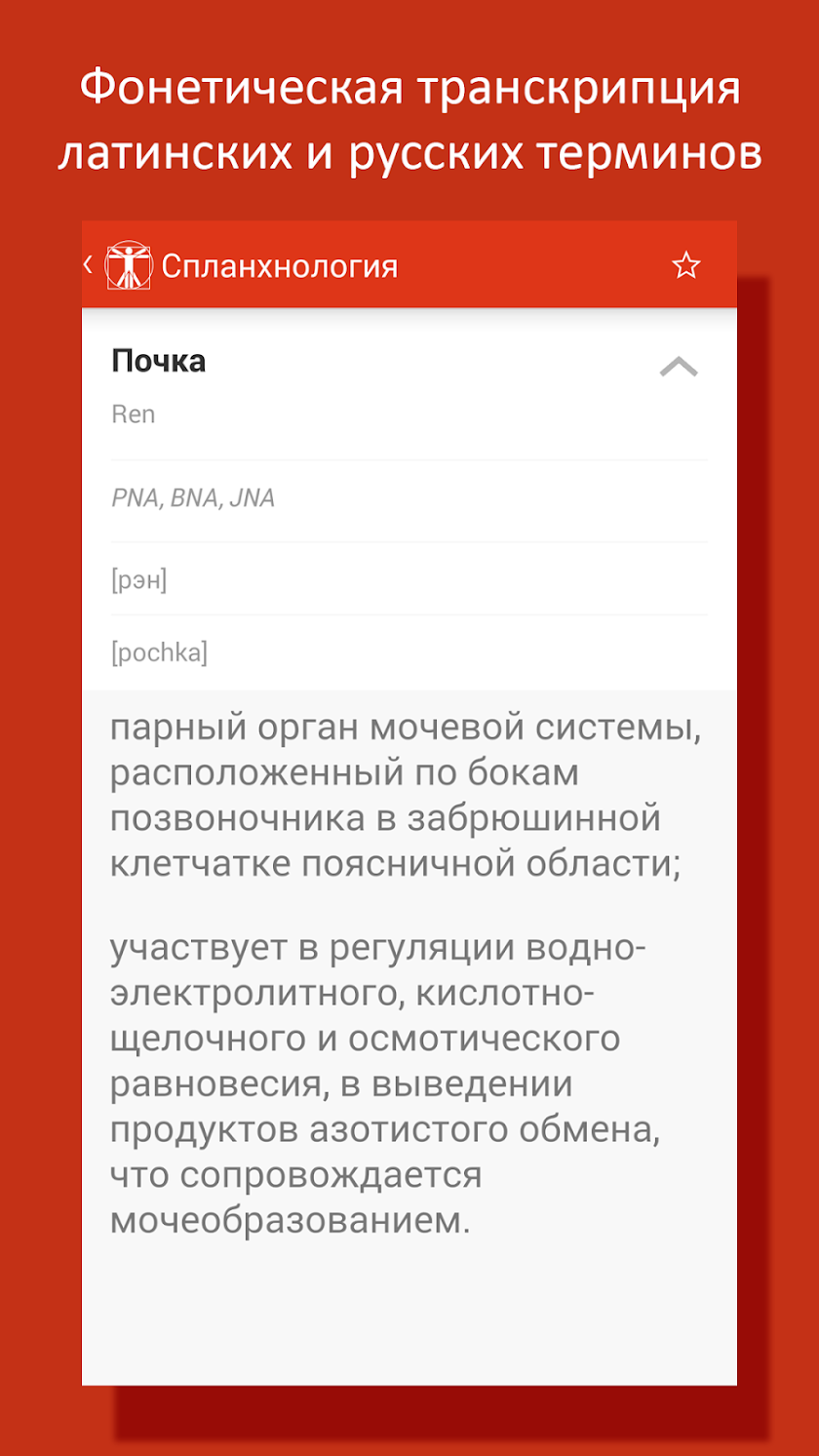 Cito! Анатомия человека Screen 3