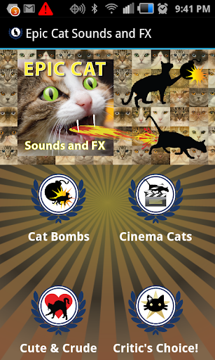 Epic Cat Sounds and FX