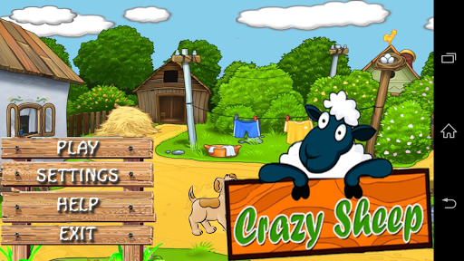 Crazy Sheep