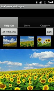 Sunflower Wallpaper Screenshots 2