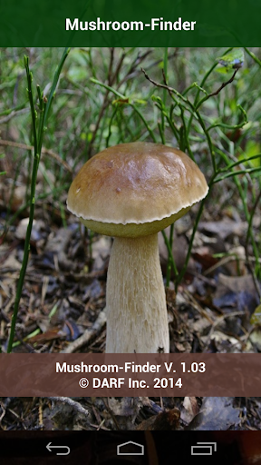 Mushroom Finder