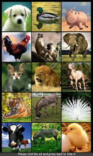 Animal Sounds Ringtones