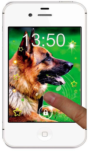 Herding Dogs live wallpaper