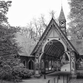 La Casa del Bosque II  by Erick Castro Alvarado - Black & White Buildings & Architecture